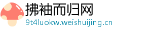 拂袖而归网